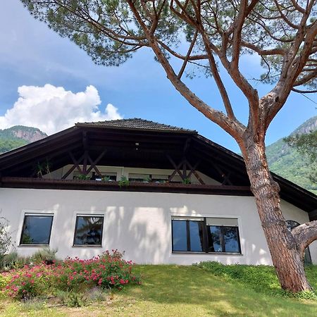 Villa Pinie Apt 1 Terlano Ngoại thất bức ảnh